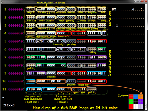 Exemplo hexdump